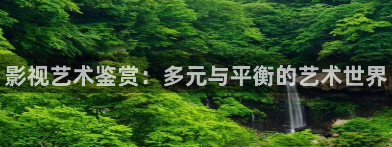 浮力视频影院：影视艺术鉴赏：多元与平衡的艺术世界