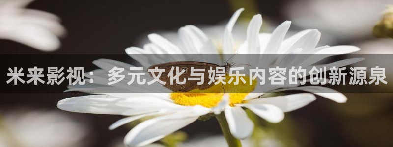 浮力影院第一页：米来影视：多元文化与娱乐内容的创新源泉