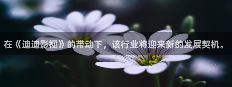国产第一浮力影院：在《迪迪影视》的带动下，该行业将迎来新的发展契机。