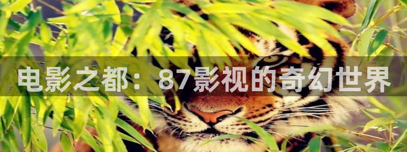 欧美第一页浮力影院：电影之都：87影视的奇幻世界