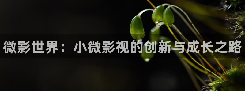 在线观看浮力影院