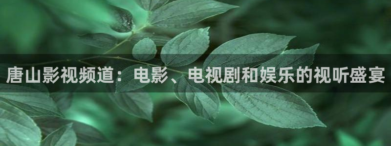 520440浮力影院：唐山影视频道：电影、电视剧和娱乐的视听盛宴