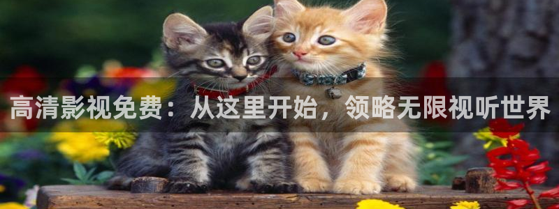 浮力地址影院：高清影视免费：从这里开始，领略无限视听世界